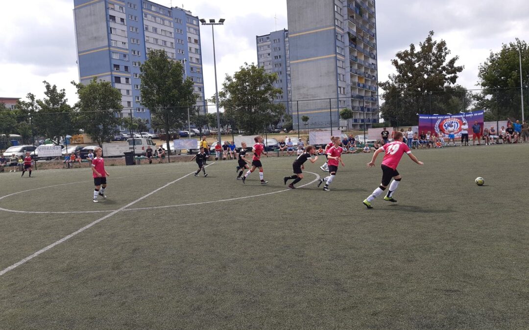 Chrobry Gniezno zorganizował na Winiarach piknik sportowy