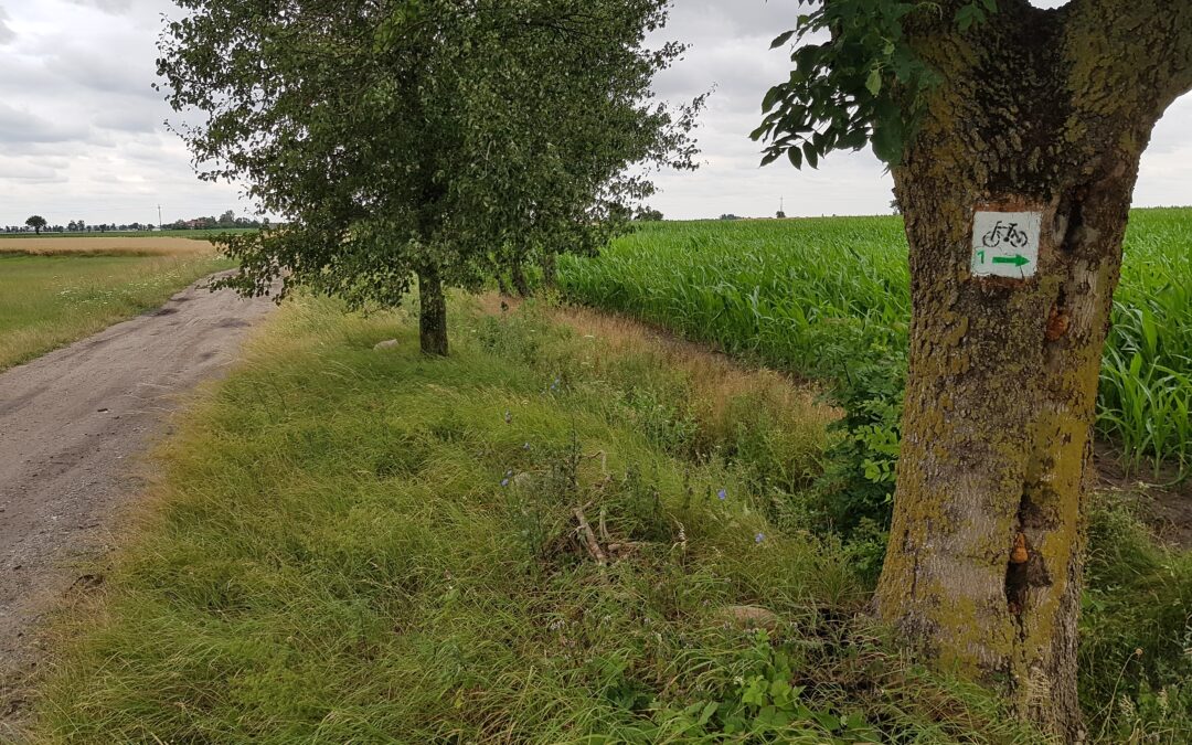 Szlaki rowerowe ponownie dostępne po nawałnicy