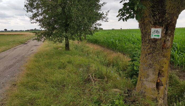 Szlaki rowerowe ponownie dostępne po nawałnicy