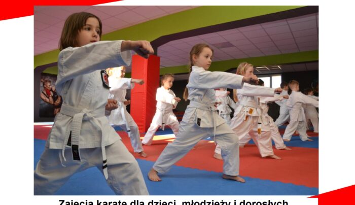 Ponownie rusza projekt „Zacznij latem trenować karate”