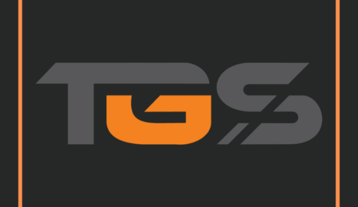 TGS: dogrywka o III miejsce (formularz)
