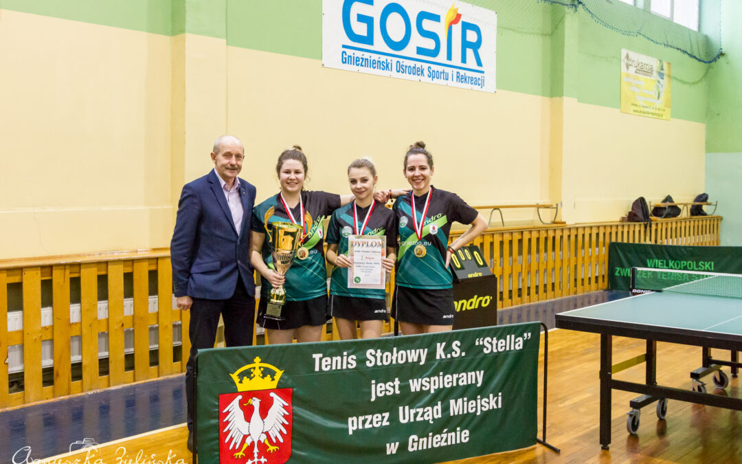 Zaskakujący wynik Stelli-Niechan w Pucharze Polski !