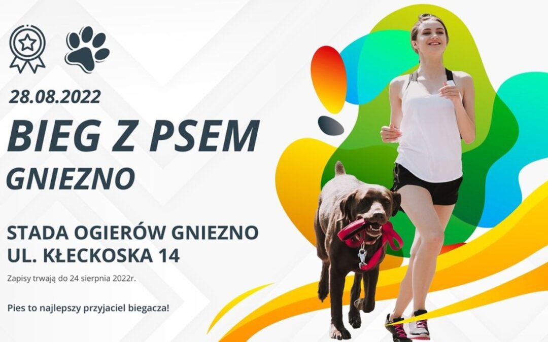 Pobiegnij z psem dla gnieźnieńskiego schroniska