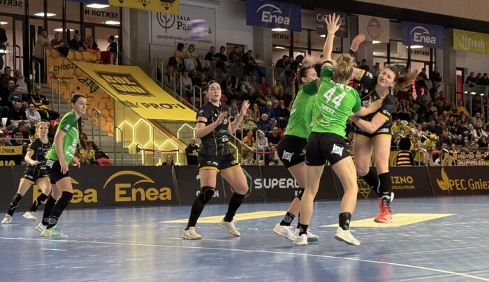 Pszczoły bez żądeł w starciu z KPR