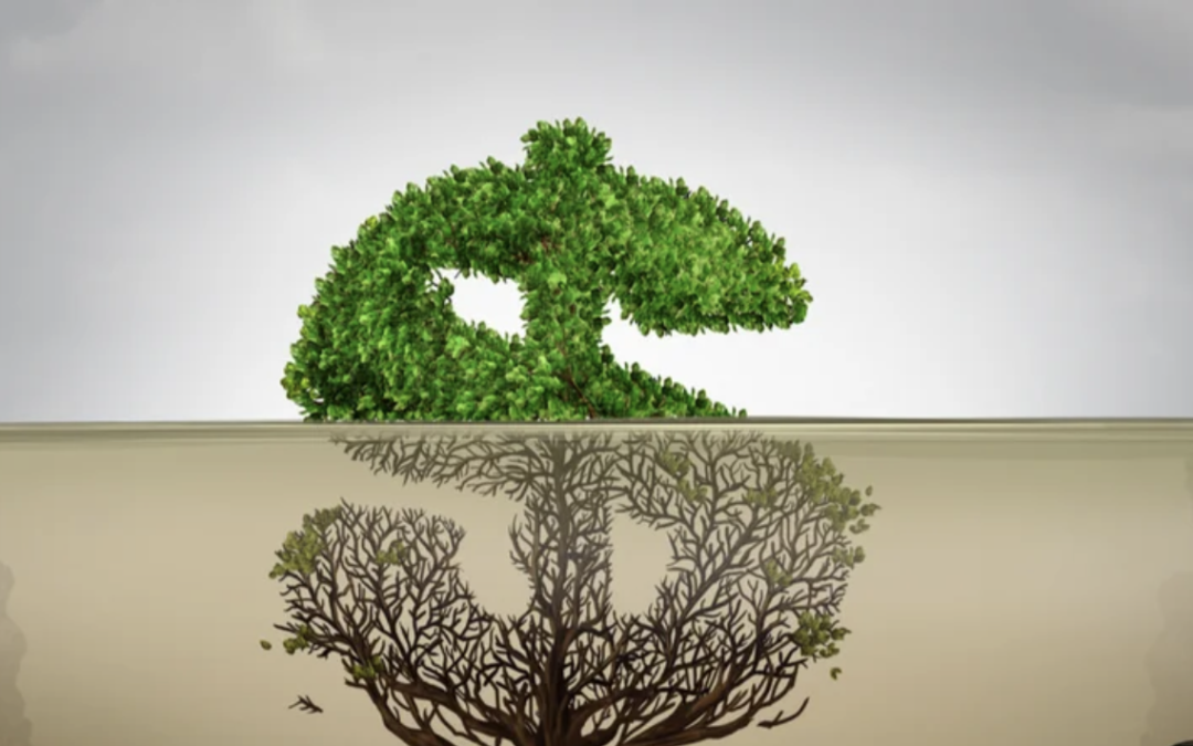 Jak sprawdzić fundusz ESG? Realne działania a greenwashing