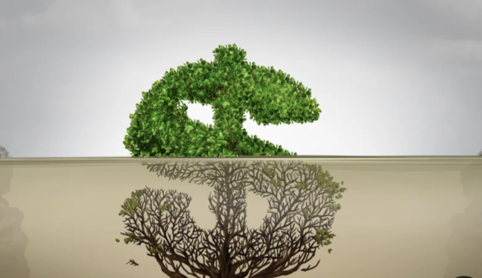 Jak sprawdzić fundusz ESG? Realne działania a greenwashing